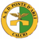 Ponte d'Arli